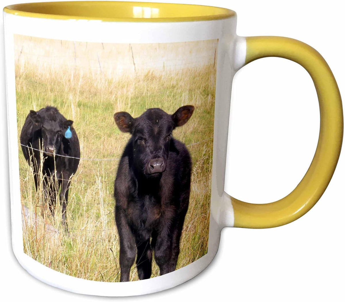 Two Black Cows In A Meadow Being Utterly Ceramic Mug
