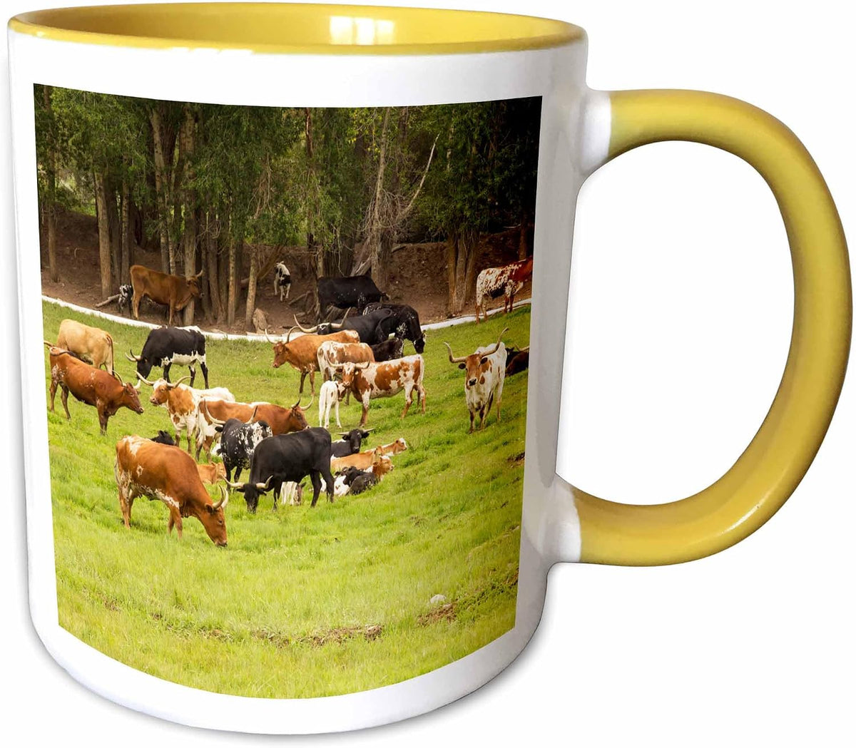 Texas Longhorn Cow Cattle In Green Pasture Ceramic Mug