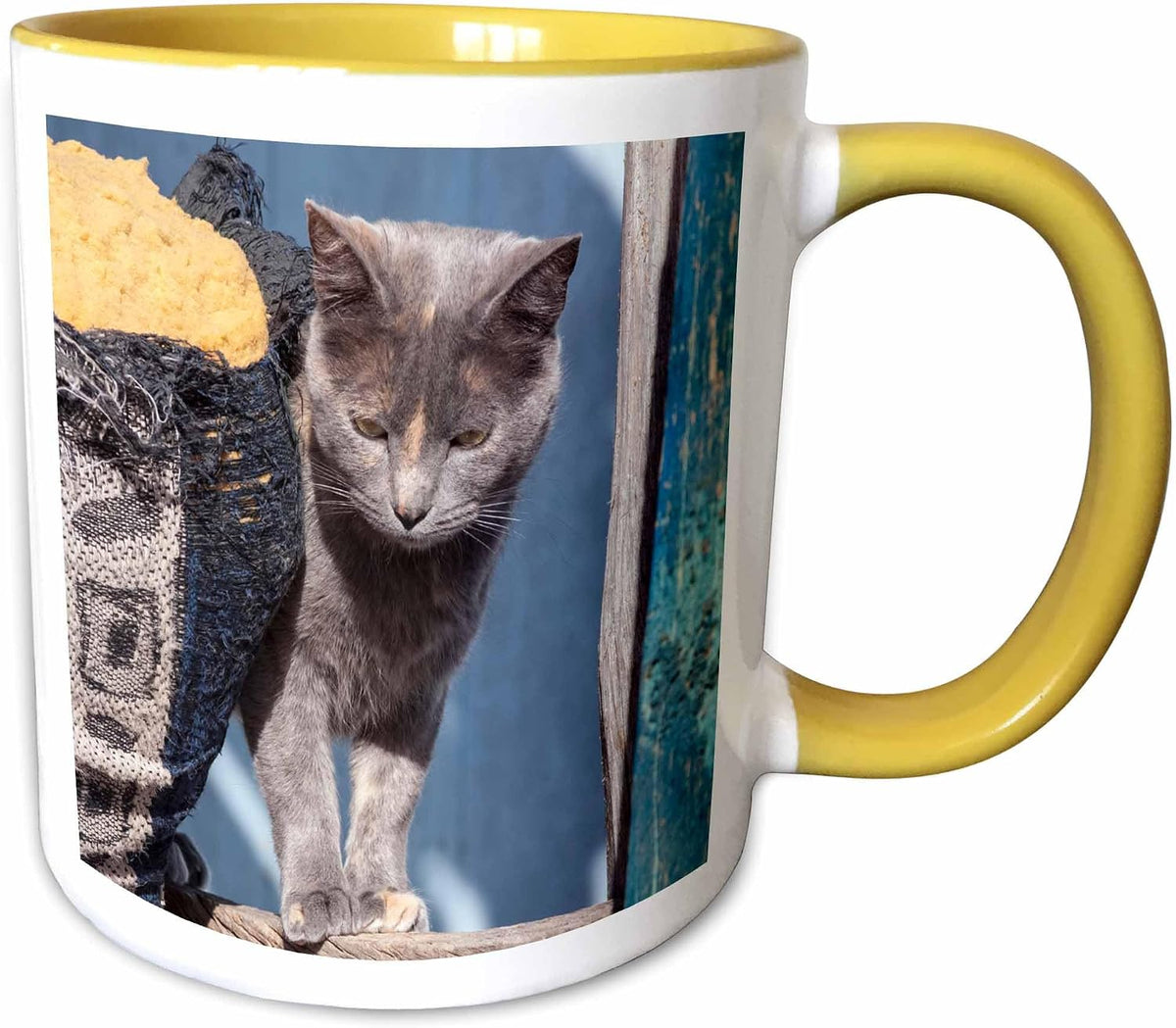 Cat And Sofa Ceramic Mug