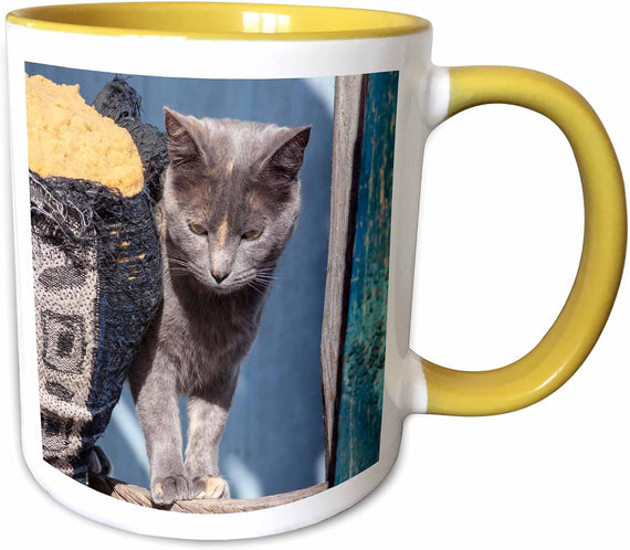 Cat And Sofa Ceramic Mug