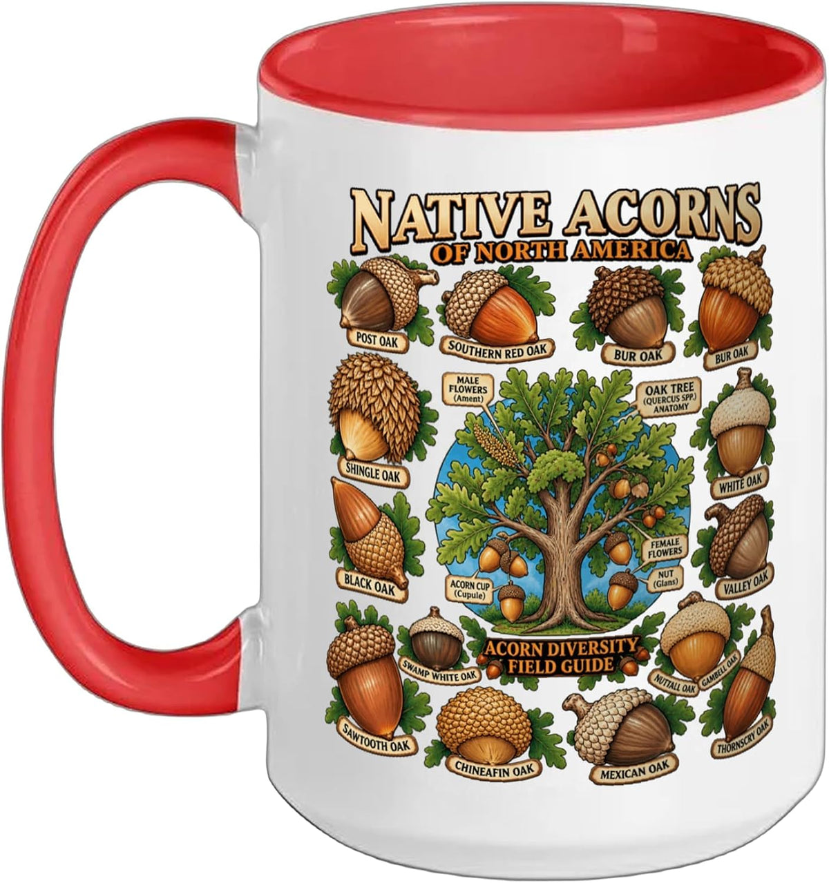 Native Acorns North America Oak Tree Botanical Guide Ceramic Mug
