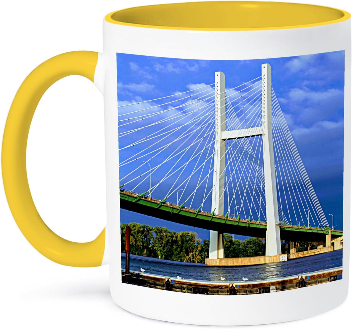 Burlington, Ia Bridge & River Photo Ceramic Mug