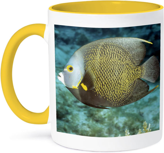 French Angelfish Caribbean Sea Life Ceramic Mug