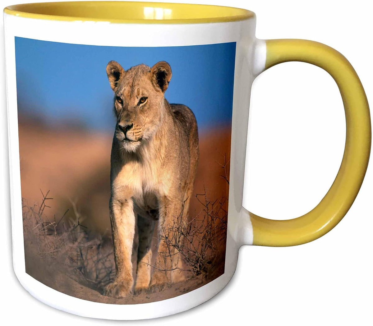 Portrait Of Lioness, Panthera Leo Ceramic Mug