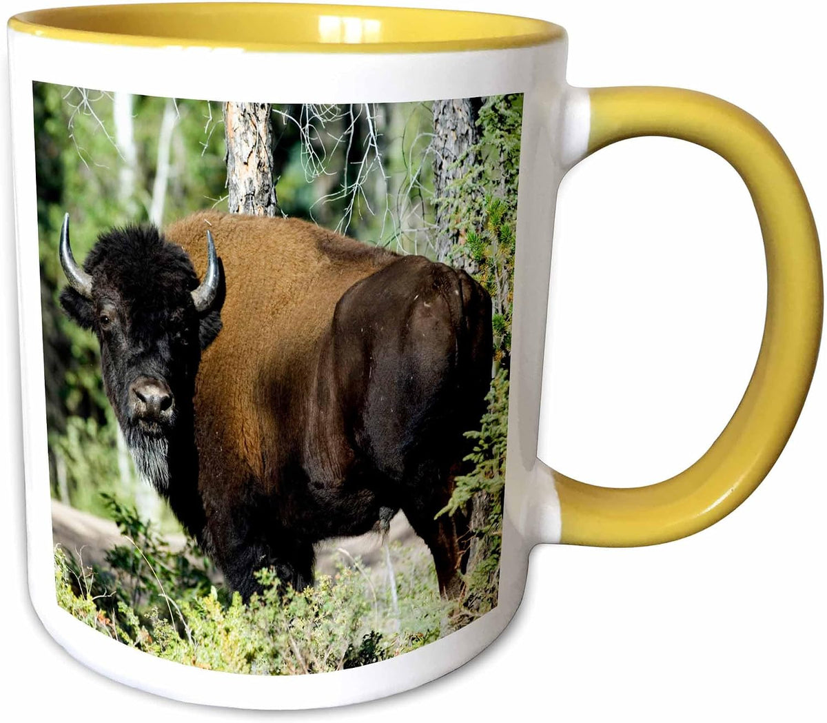 Bison Wildlife Wood Buffalo National Park Ceramic Mug