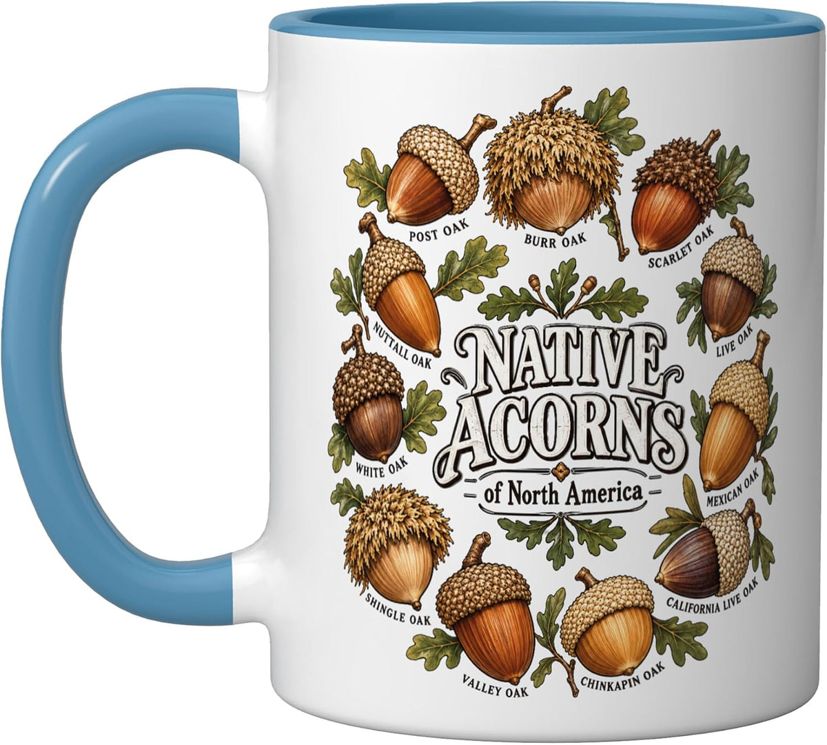 Native Acorns Of North America Oak Species Identification Ceramic Mug