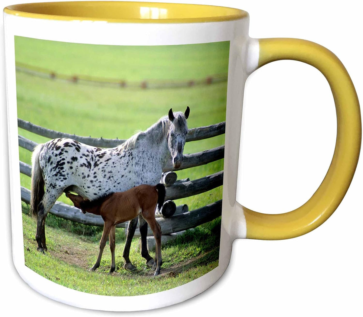 Appaloosa Mare And Colt Horse Ceramic Mug