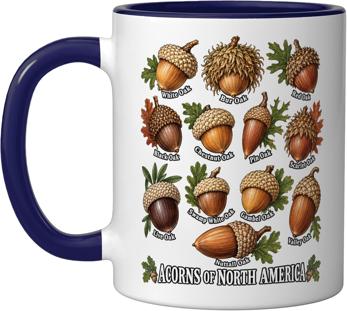 Acorns Of North America Oak Species Identification Field Ceramic Mug