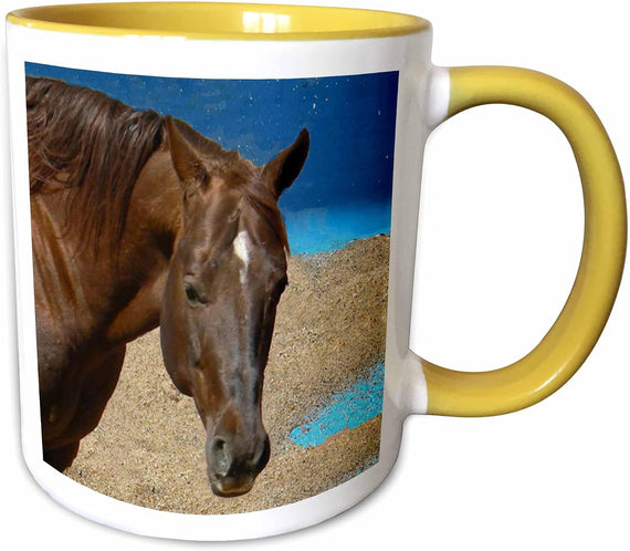 Quarter Horse Ceramic Mug