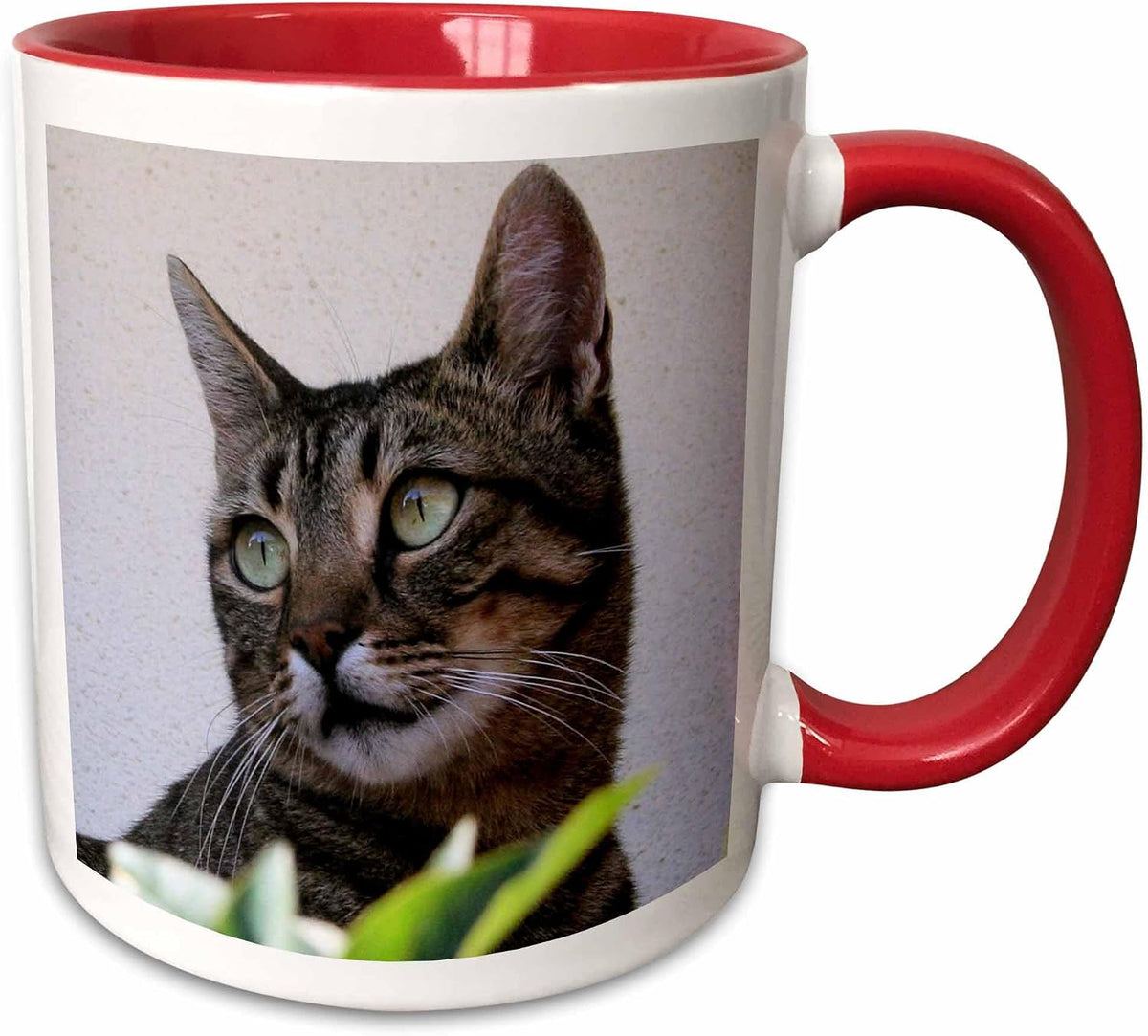 Cat Tabby Cat Ceramic Mug