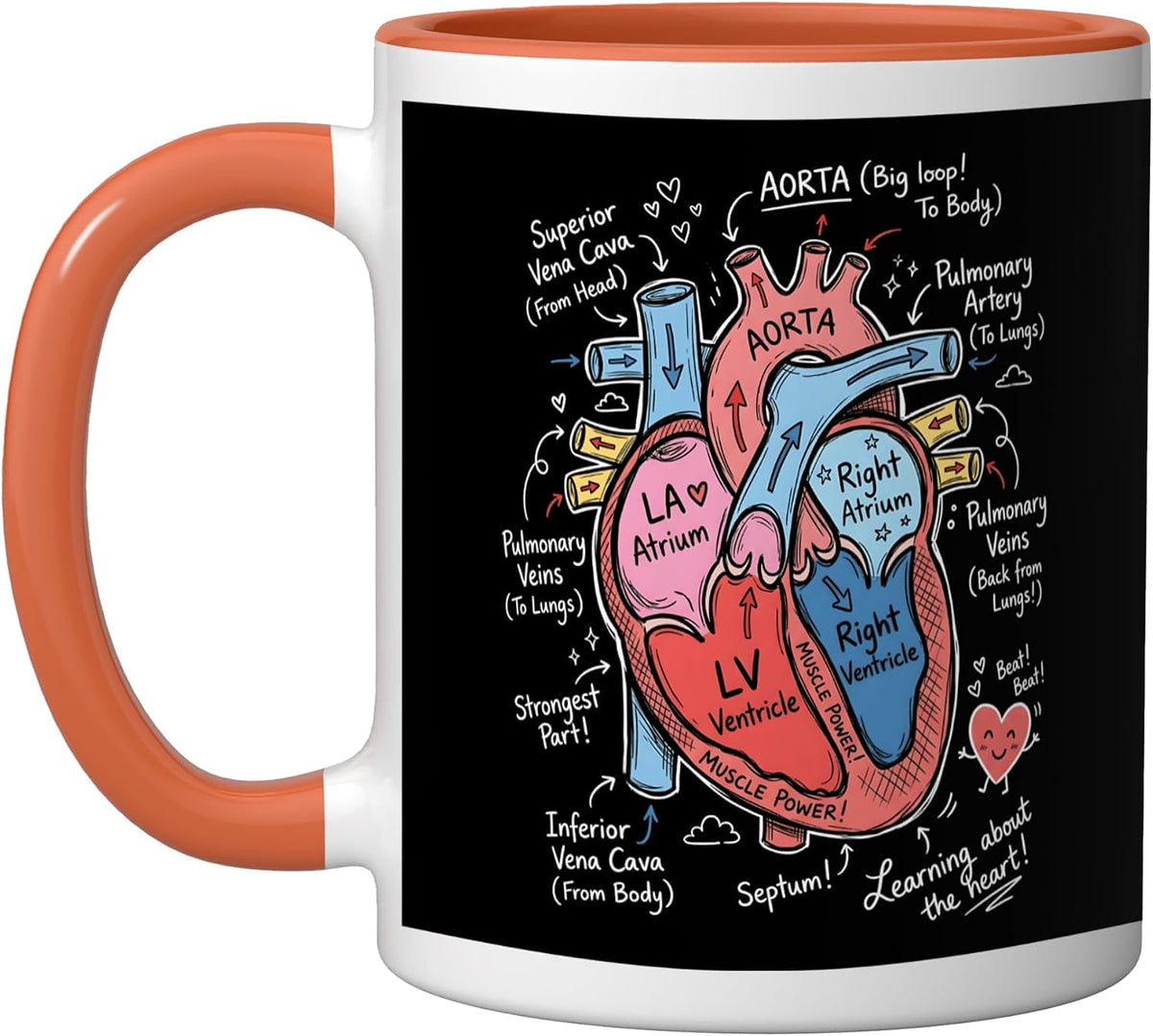 Learning About The Heart Anatomy Biology Science Ceramic Mug