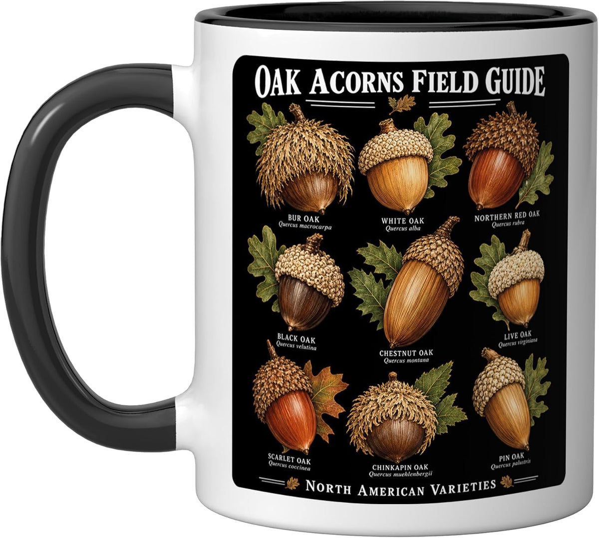 Oak Acorns Guide Species Identification Reference Ceramic Mug