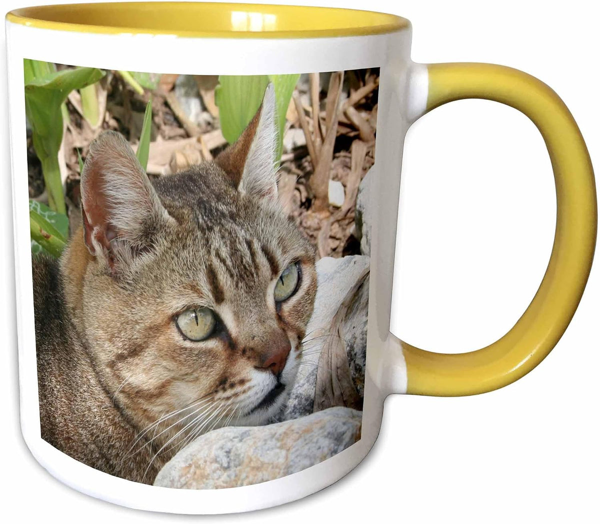 Cat Tabby Cat Ceramic Mug