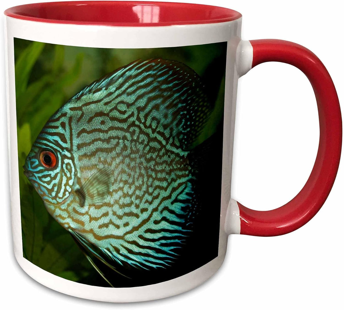 Blue Exotic Discus Fish Ceramic Mug