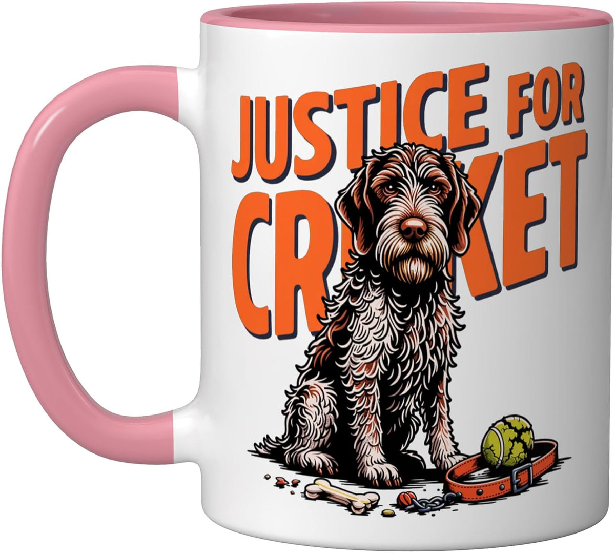 Justice For Cricket Ceramic Mug