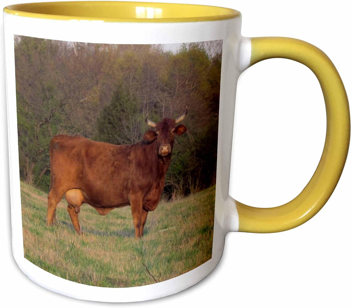 Cow On The Green Ceramic Mug