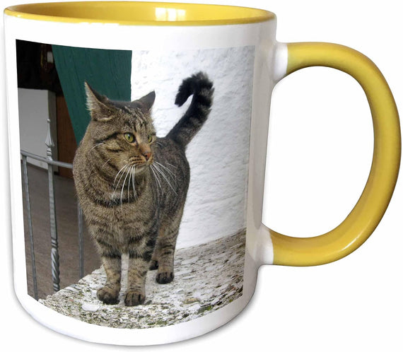 Cat Ceramic Mug