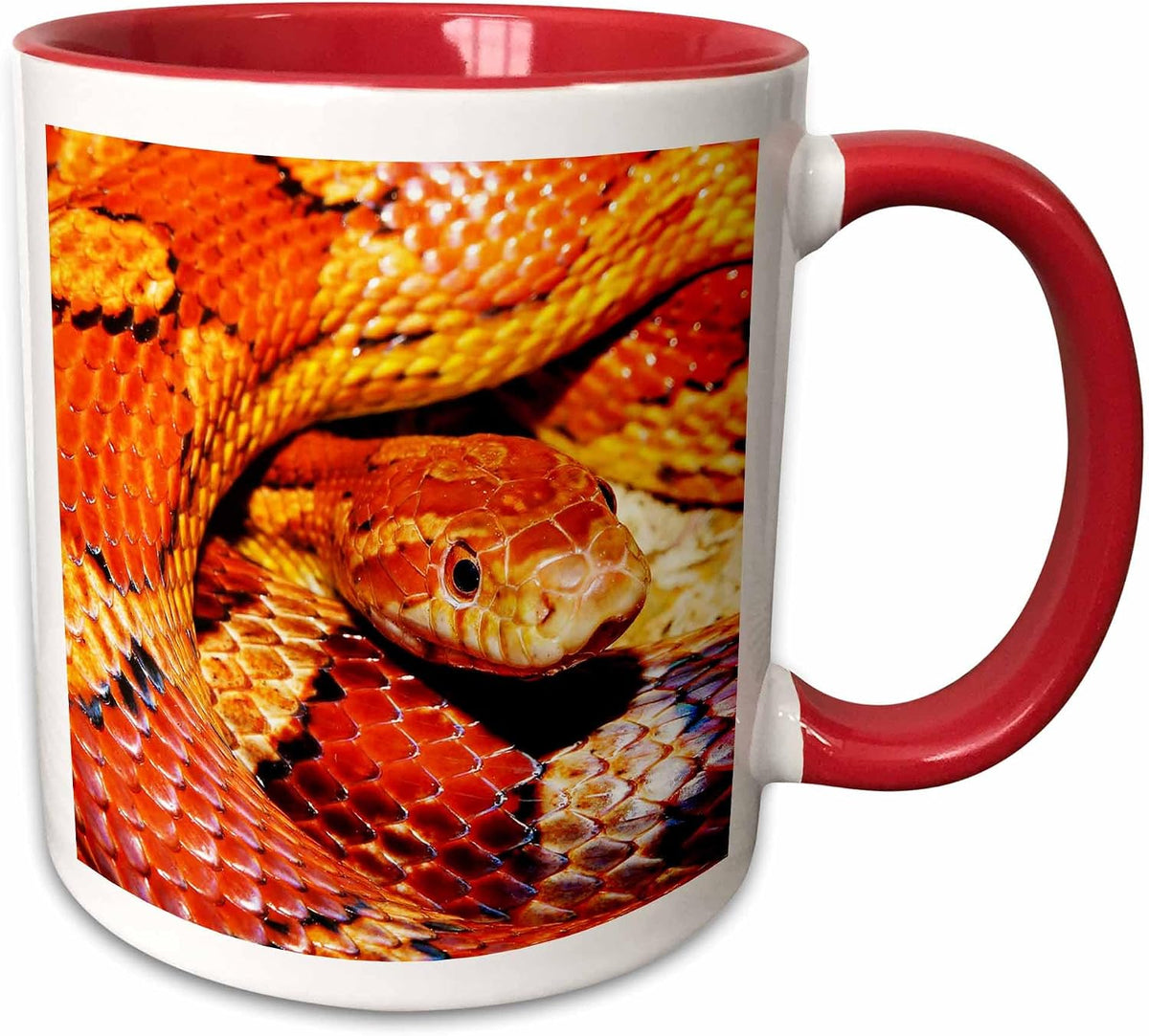 Rinapiro - Wild Animals - Corn Snake. Popular Ceramic Mug