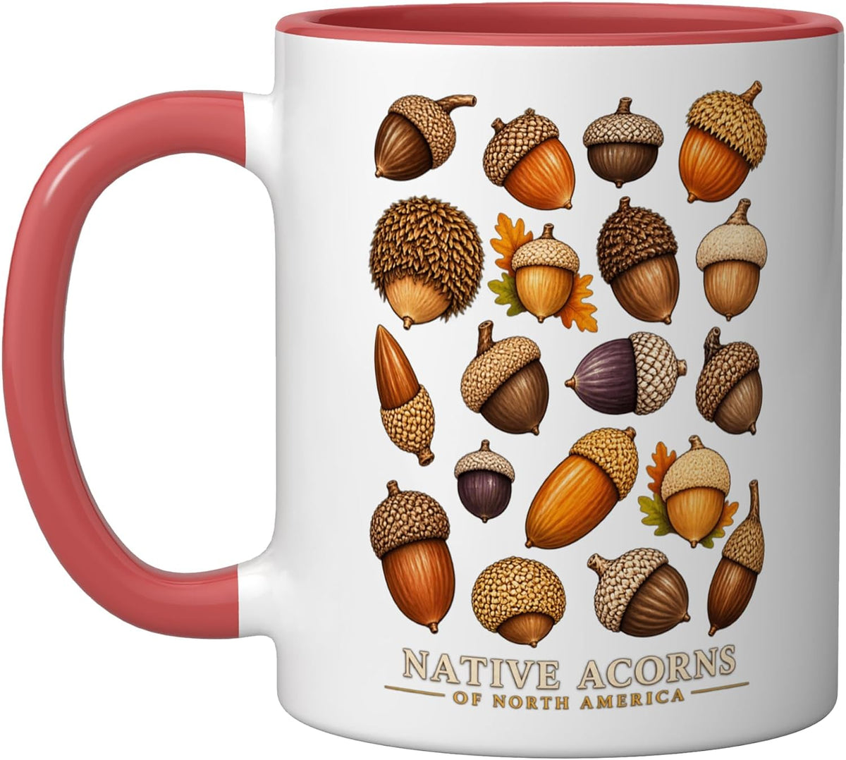 Native Acorns North America Oak Tree Botanical Guide Ceramic Mug