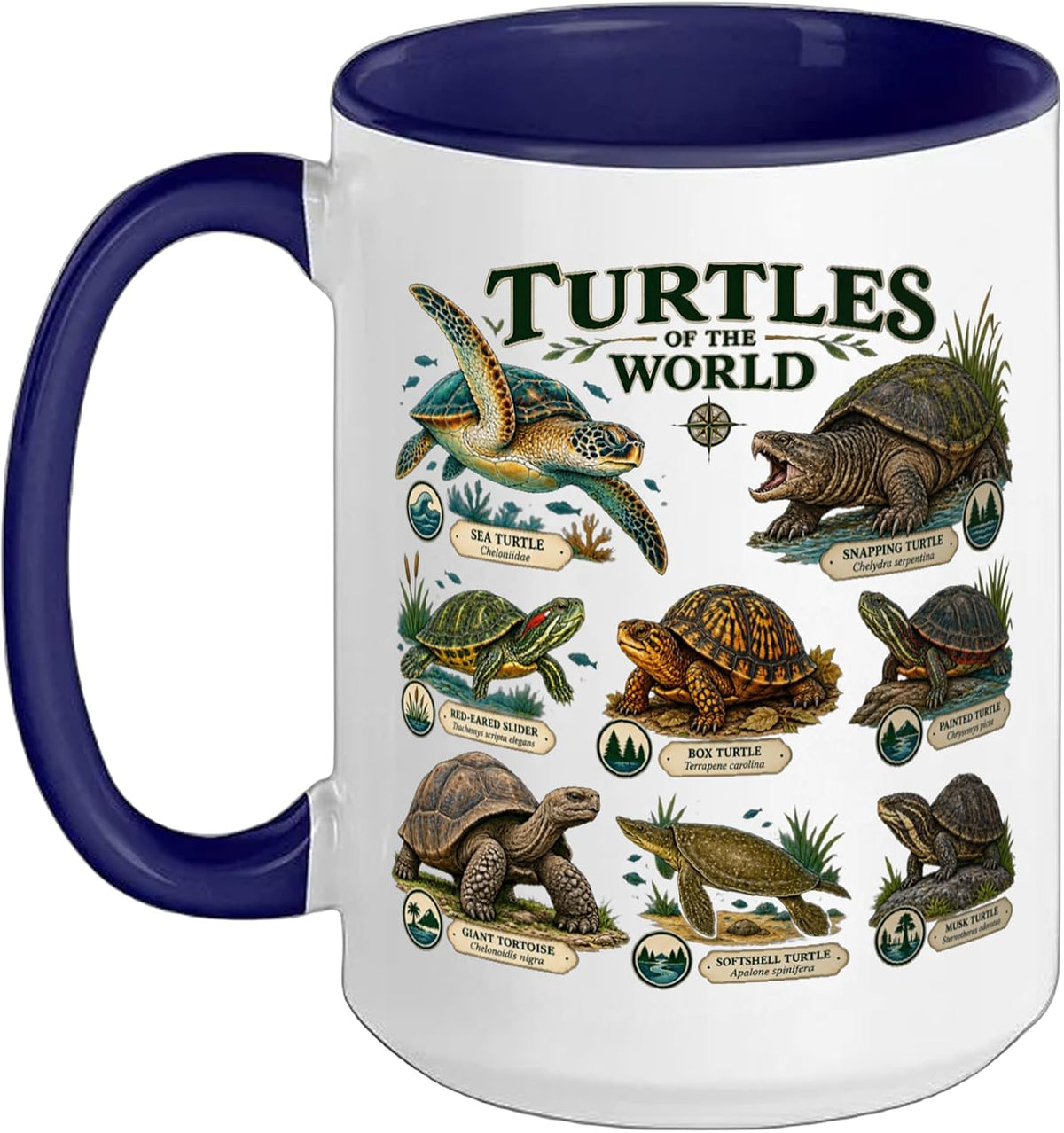 Turtles Of The World Tortoise Turtle Species Reptile Lover Ceramic Mug