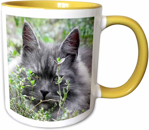 Cute Image Of Grey Cat. Domestic Cat Ceramic Mug