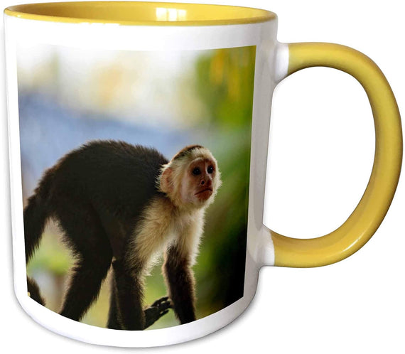 White-Faced Capuchin Monkey. Roatan, Bay Ceramic Mug