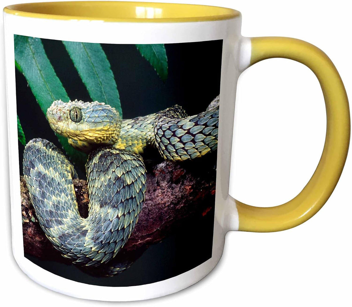 African Bush Viper Snake Ceramic Mug