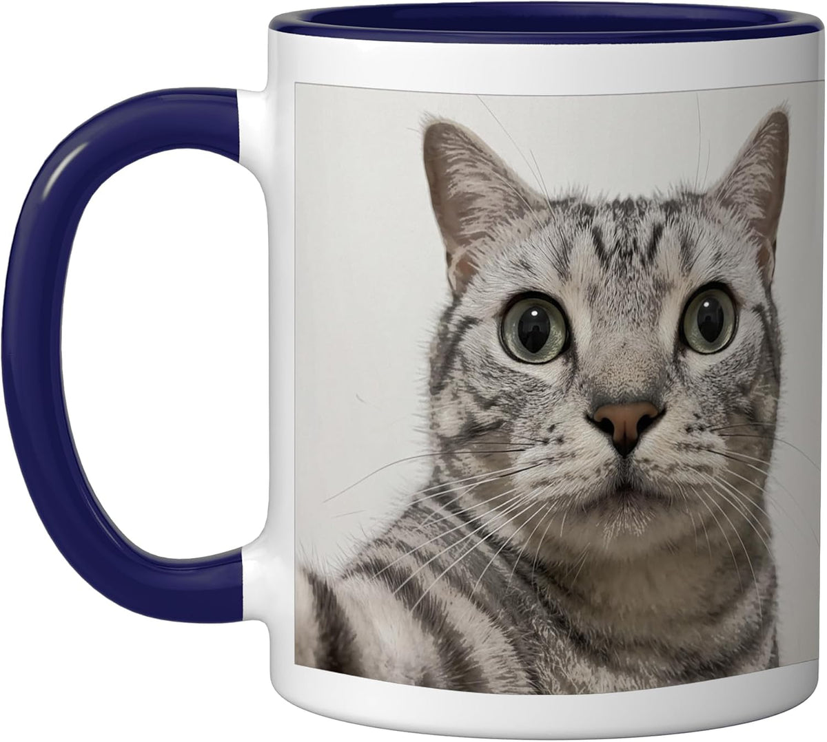 I Hired This Cat To Stare At You Funny Cat Meme Ceramic Mug