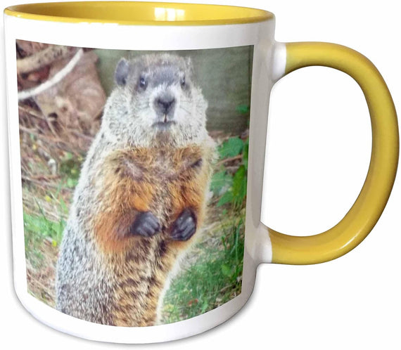 Groundhog Upright Ceramic Mug