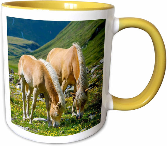 Haflinger Horses In Mountain Pasture Ceramic Mug