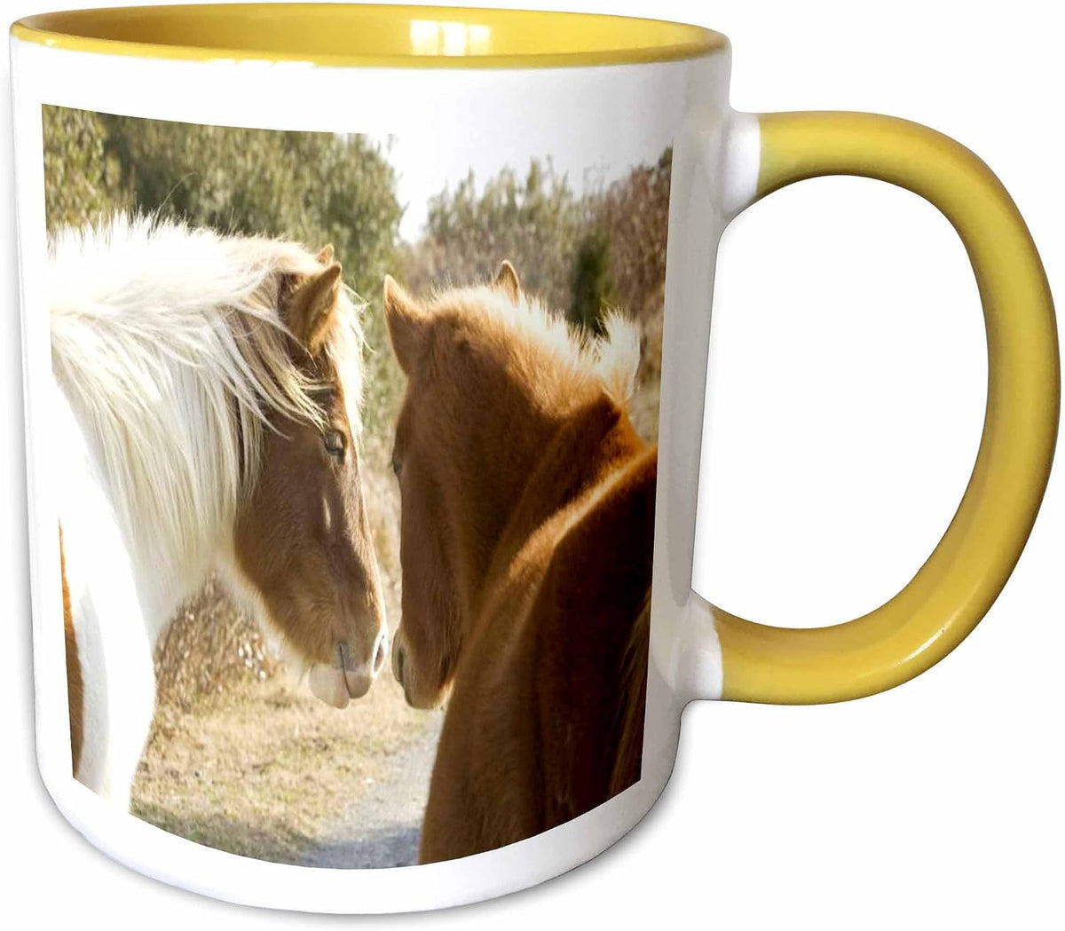 2 Wild Horses Ceramic Mug