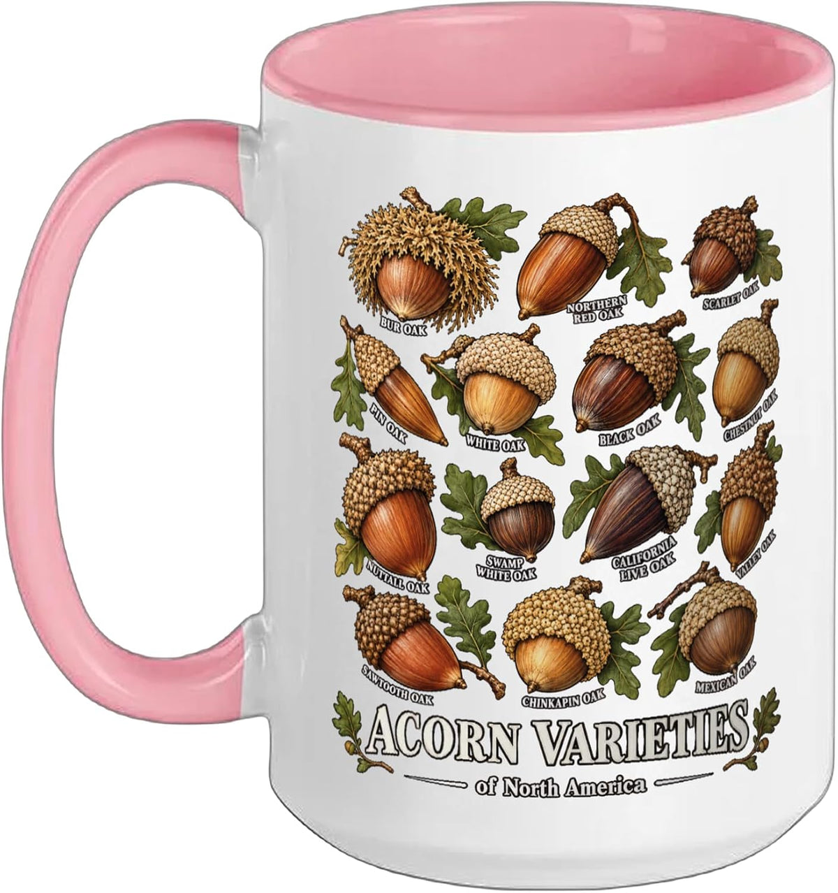 Acorn Varieties Of North America Oak Species Reference Ceramic Mug