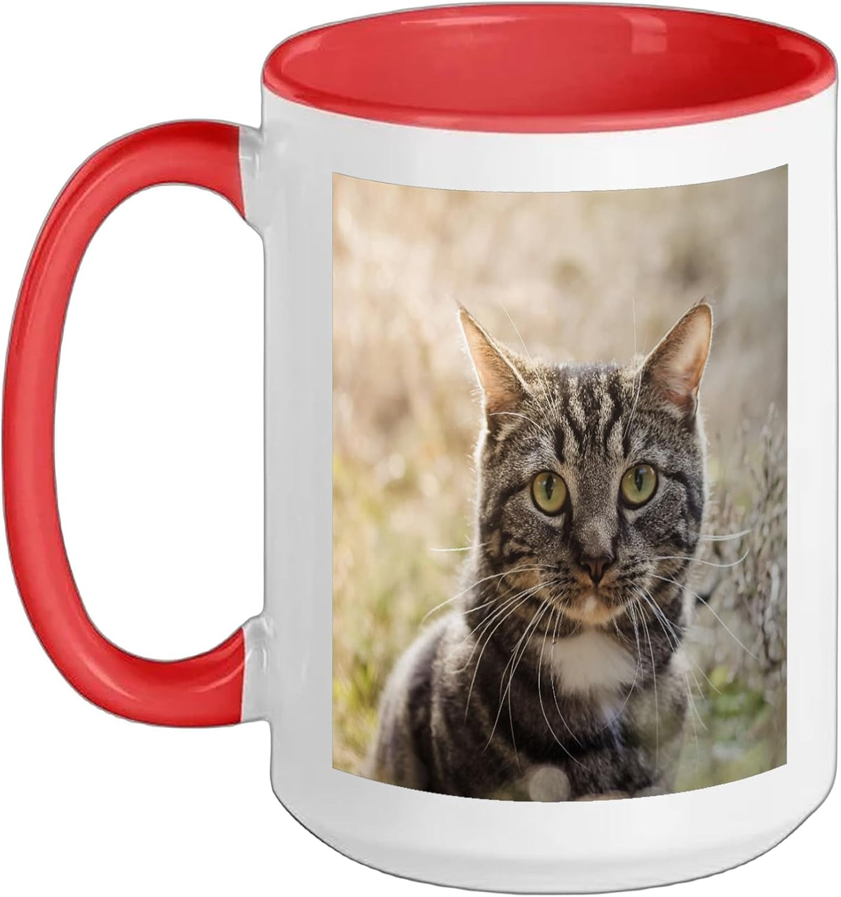 Tabby Cat Ceramic Mug