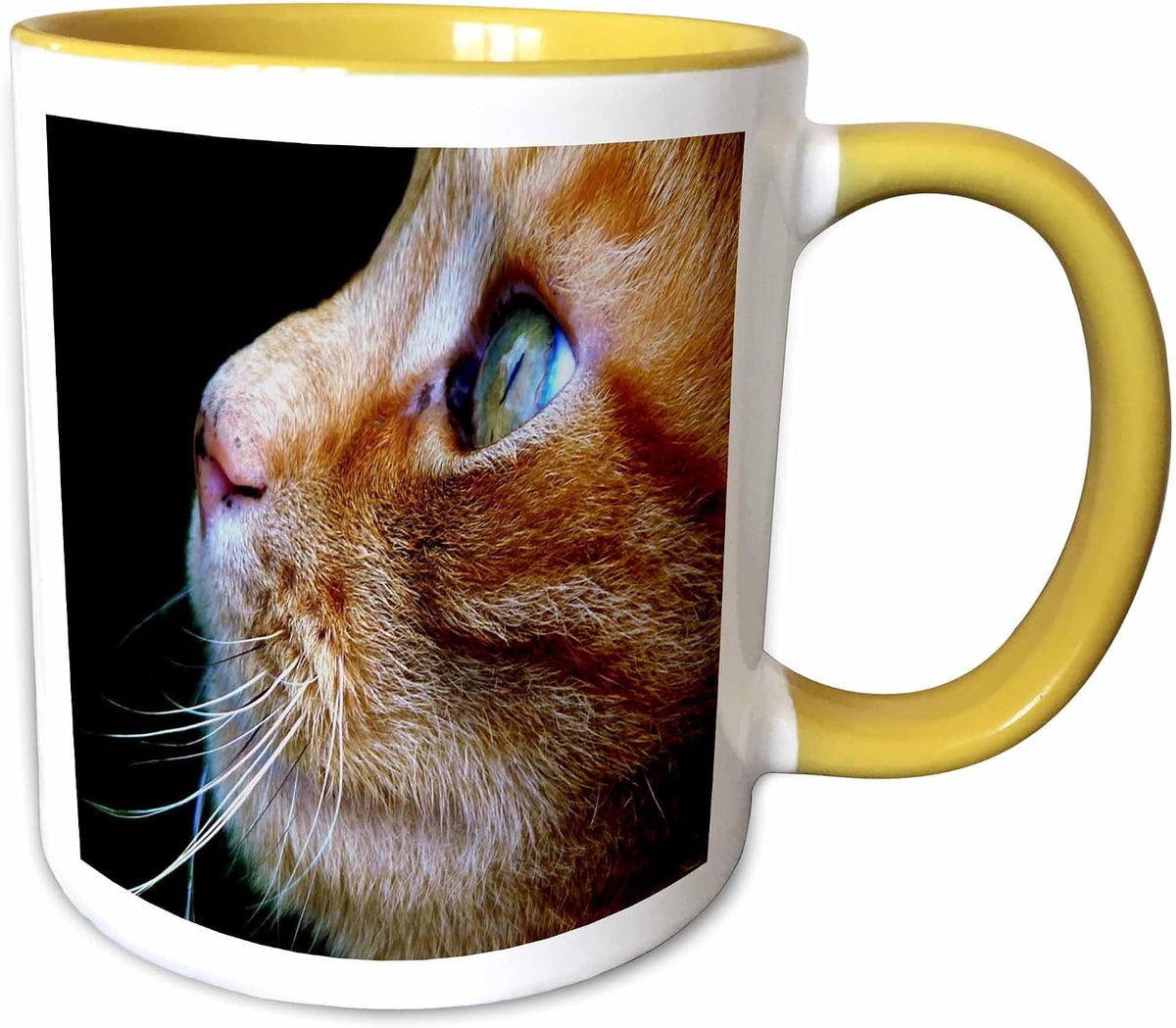 Print Of Beautiful Closeup Of Tabby Cat Ceramic Mug