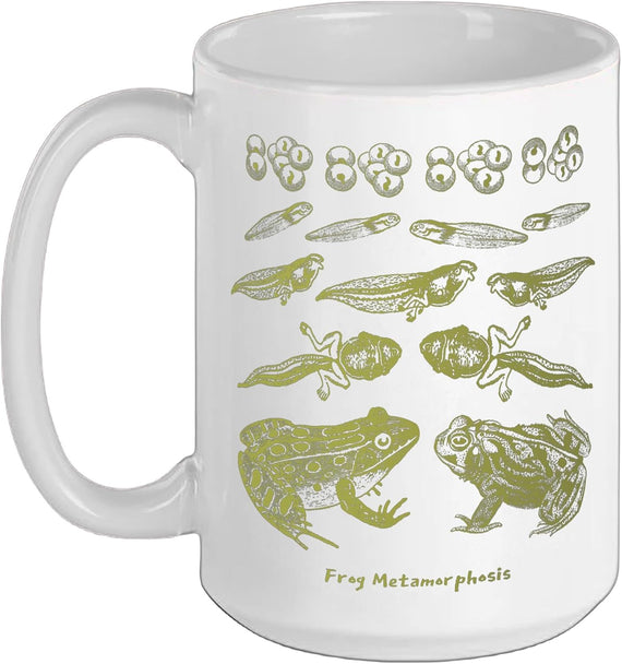 Frog Tadpole Life Cycle Biology Teacher Vintage Science Ceramic Mug