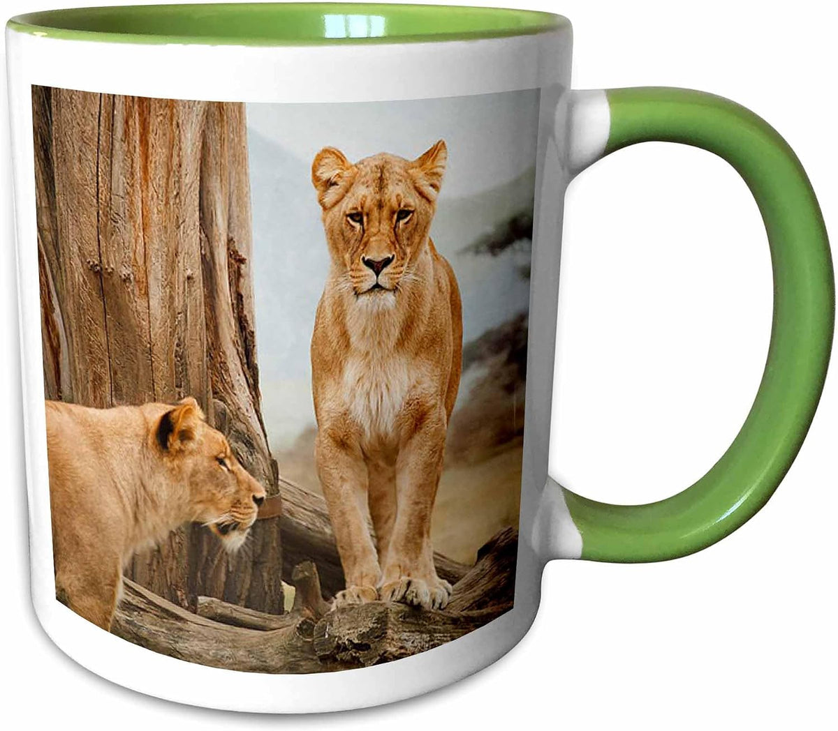 Lions The King Of The Forest Ceramic Mug