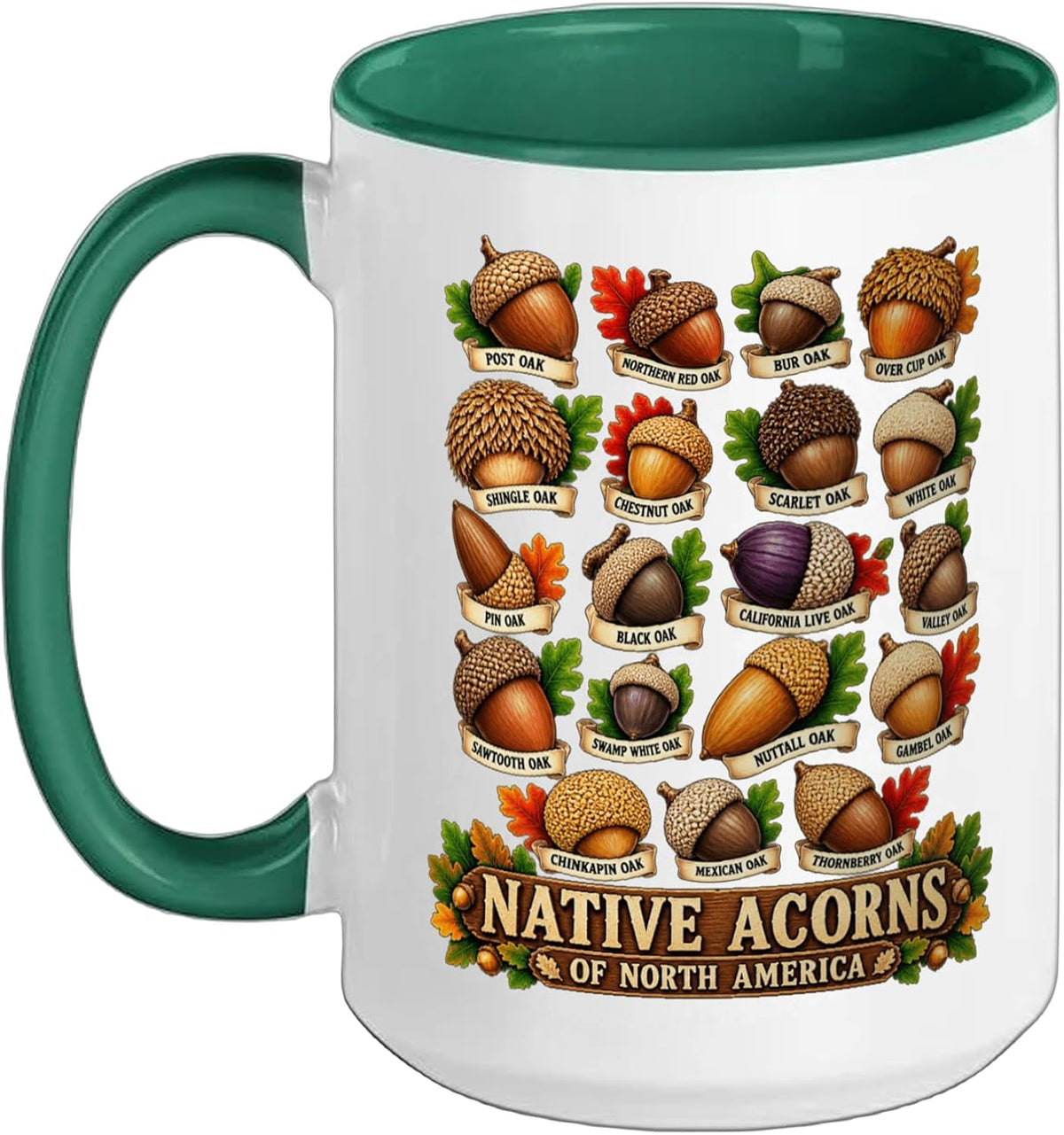 Native Acorns North America Oak Tree Botanical Guide Ceramic Mug