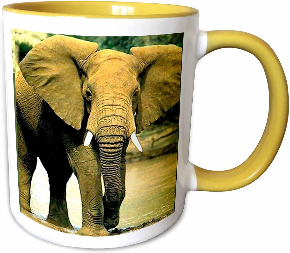 African Elephant Ceramic Mug