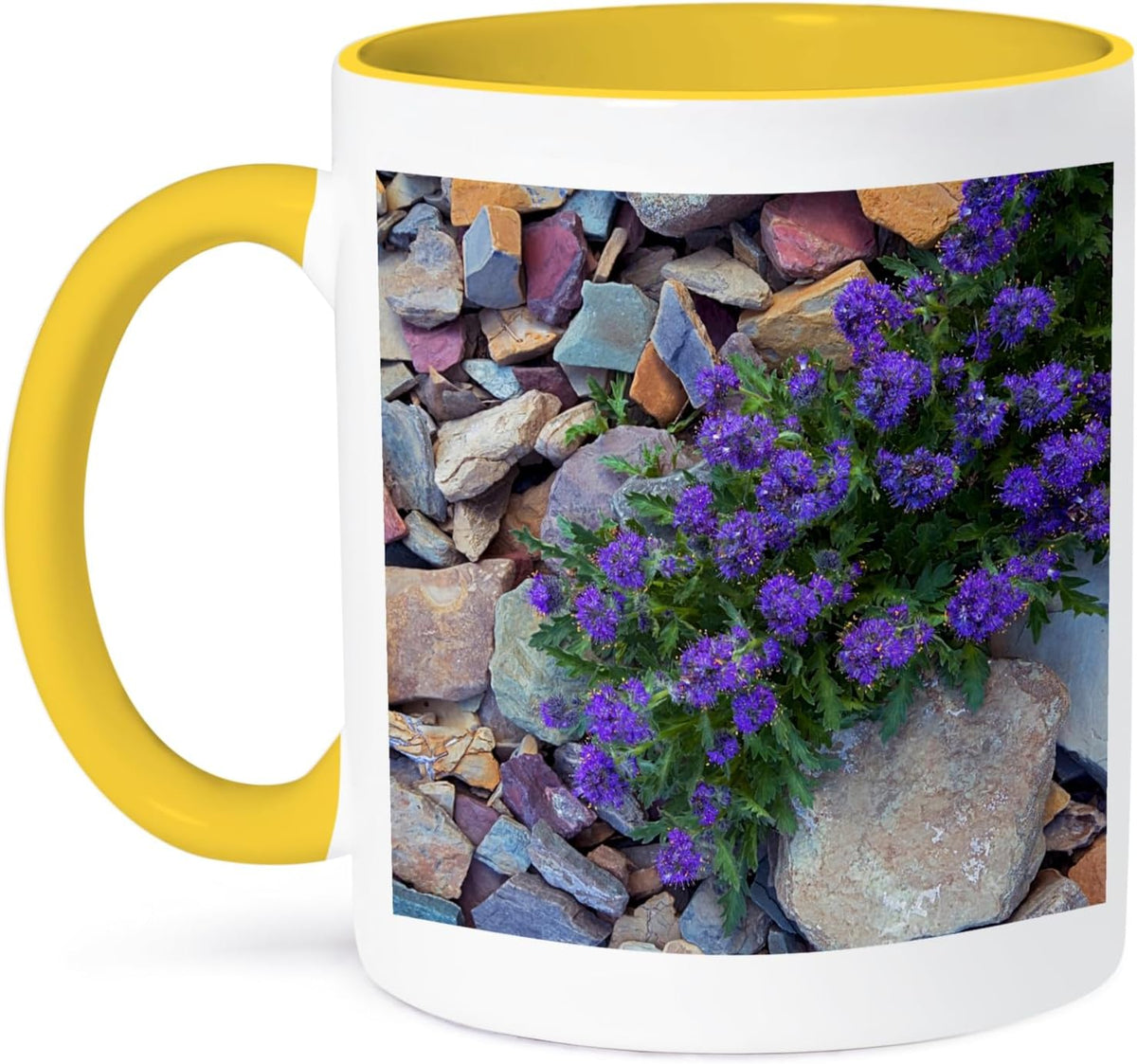 Usa, Montana, Glacier Natl Park, Silky Ceramic Mug