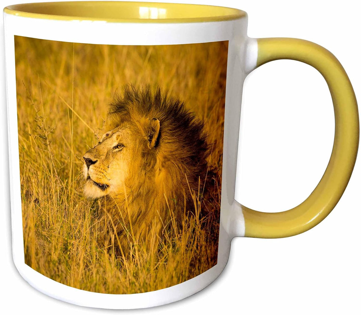Africa Tanzania African Lion Male Serengeti Ceramic Mug