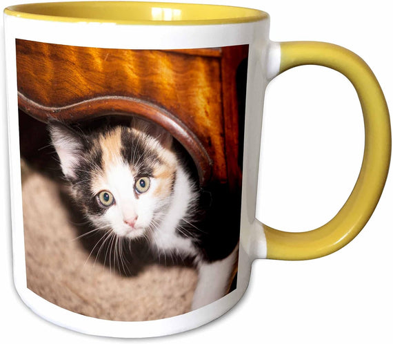 Domestic Calico Cat Peeking Out Ceramic Mug