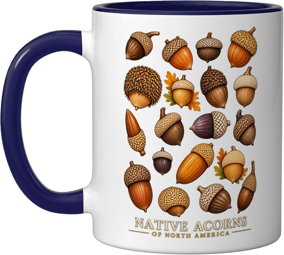 Native Acorns North America Oak Tree Botanical Guide Ceramic Mug