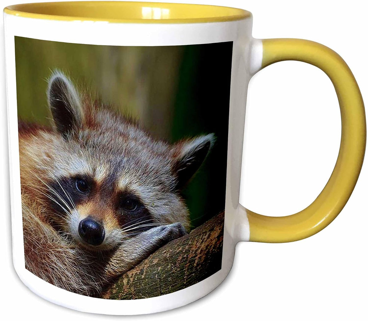 Edmond Hogge Jr – Animals - Raccoon Ceramic Mug