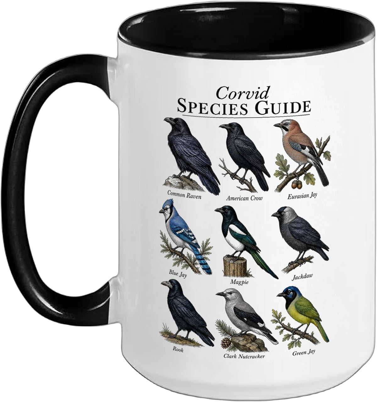 Corvid Species Guide Bird Watcher Ceramic Mug