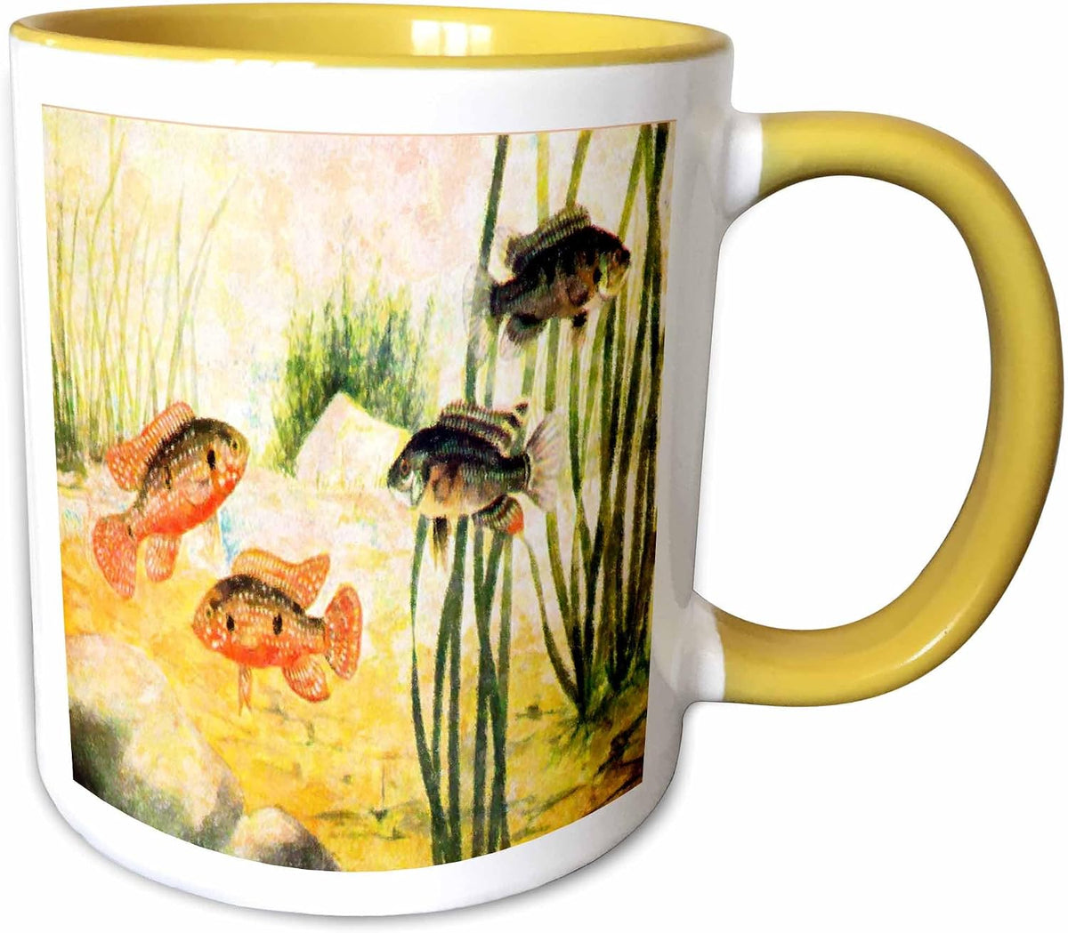 Fish In Aquarium Ceramic Mug