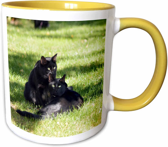 Two Pretty Alert Black Cat Ceramic Mug