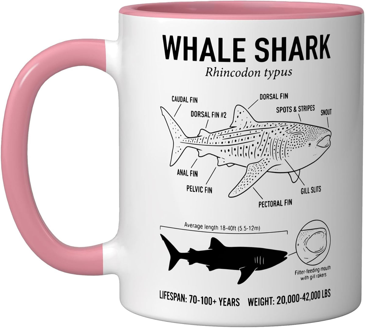 Whale Shark Anatomy Ceramic Mug