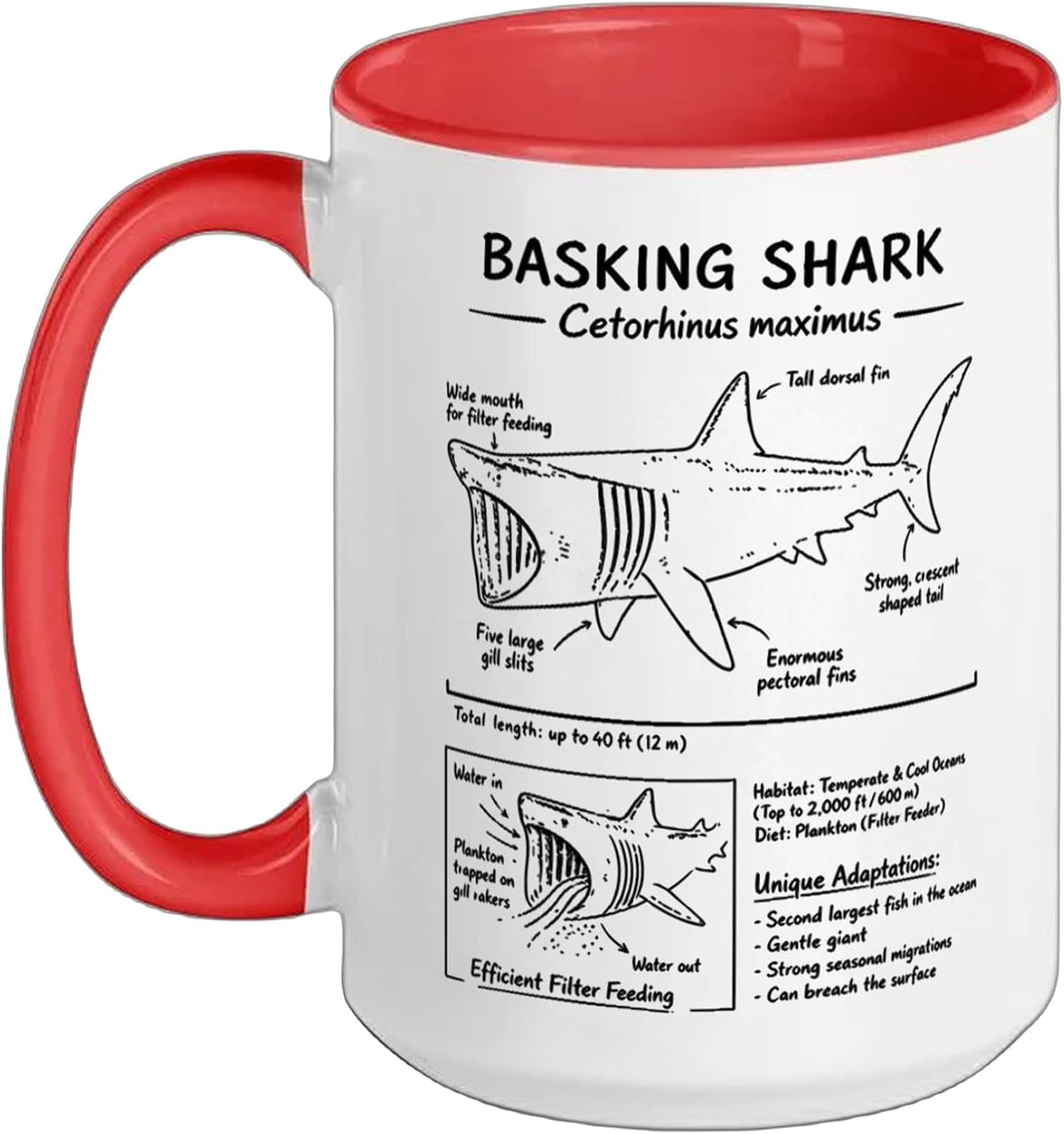 Basking Shark Anatomy Ceramic Mug
