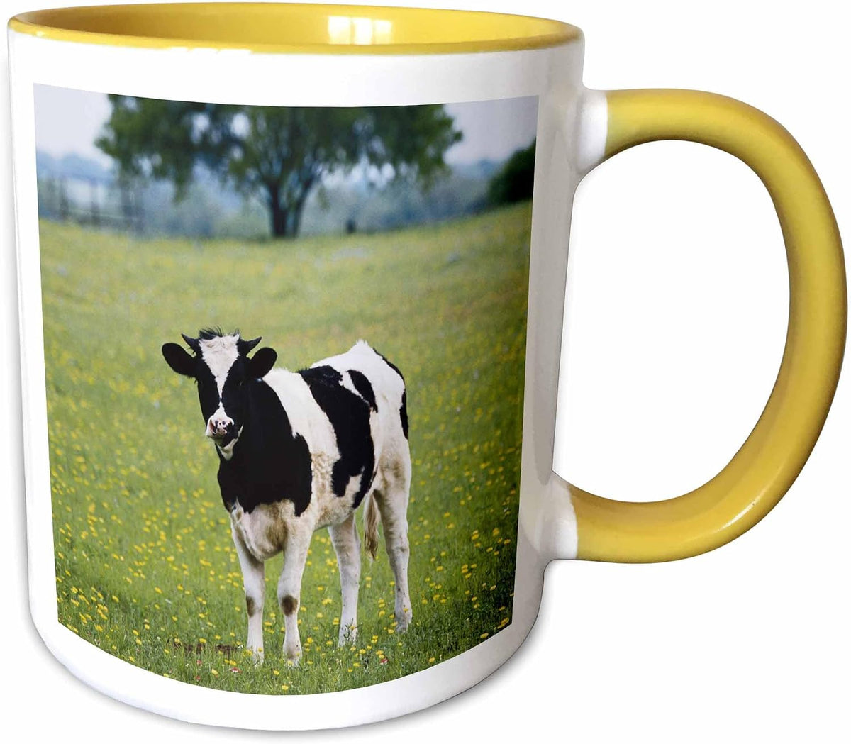 Usa, Texas, Lytle, Cow In Field Ceramic Mug