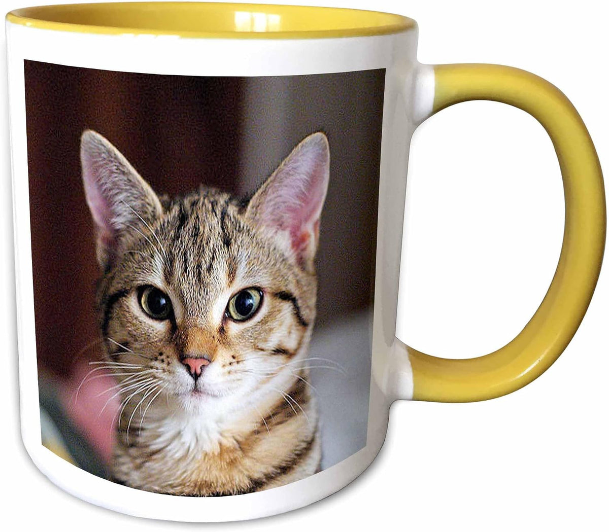 Cat Tabby Cat Ceramic Mug